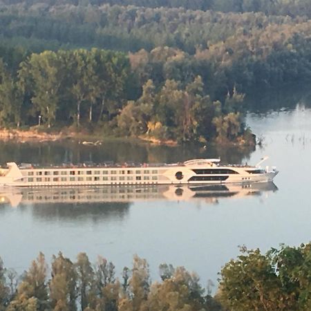 Kuca Za Odmor Brzica Erdut Villa Bagian luar foto