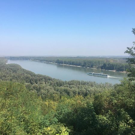 Kuca Za Odmor Brzica Erdut Villa Bagian luar foto